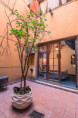 /album/habitacion-cuadruple-con-bano-privado/5-jpeg/
